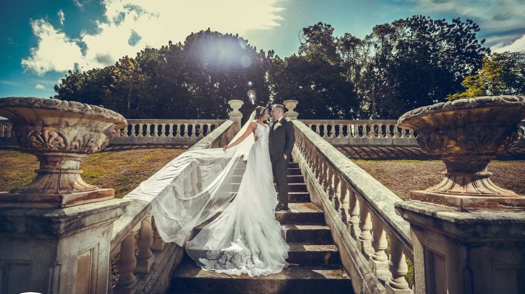 Same Day Edit OF Tania & Houssein