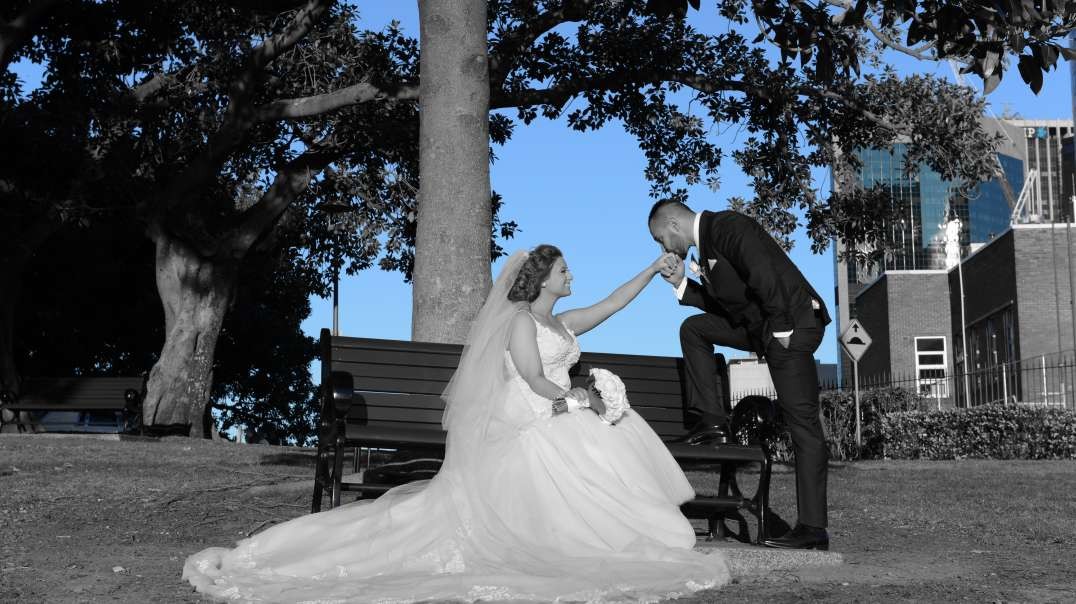 Chris & Stephanie Same Day Edit